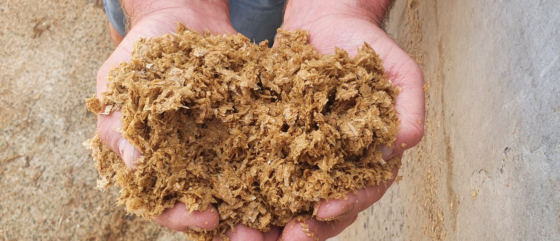 Produit CORN GLUTEN HUMIDE