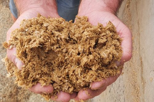 CORN GLUTEN HUMIDE